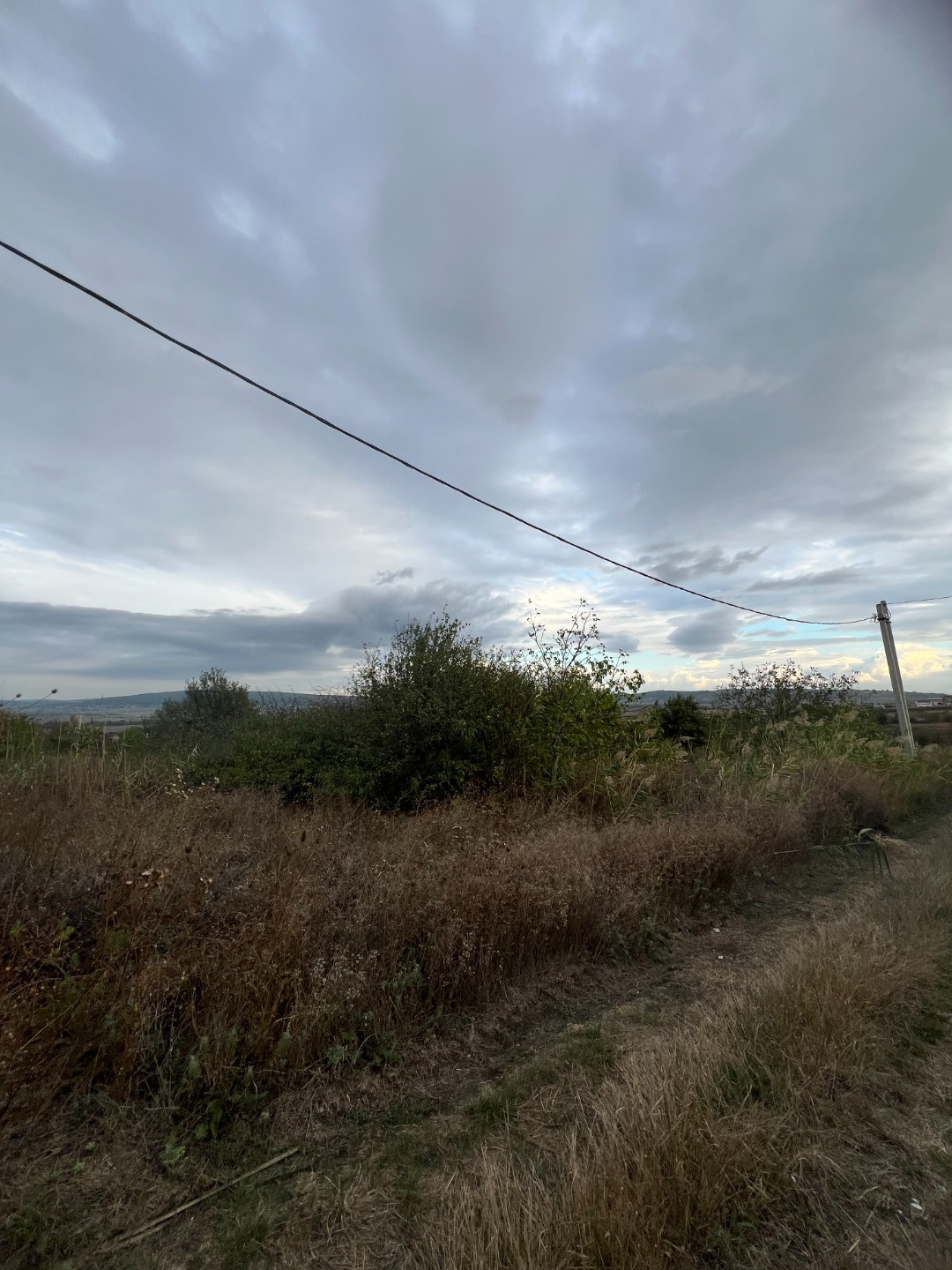 Продам два смежных участка 
каждый участок по 8 соток, есть возможность объединить
в СНТ проведен свет
СНТ активно застраивается
участки ровные, правильной формы 
фасад 21 метр глубина участка 39 метров
кадастровые номера 23:37:0802002:448, 23:37:0802002:368
цена указана за один участок