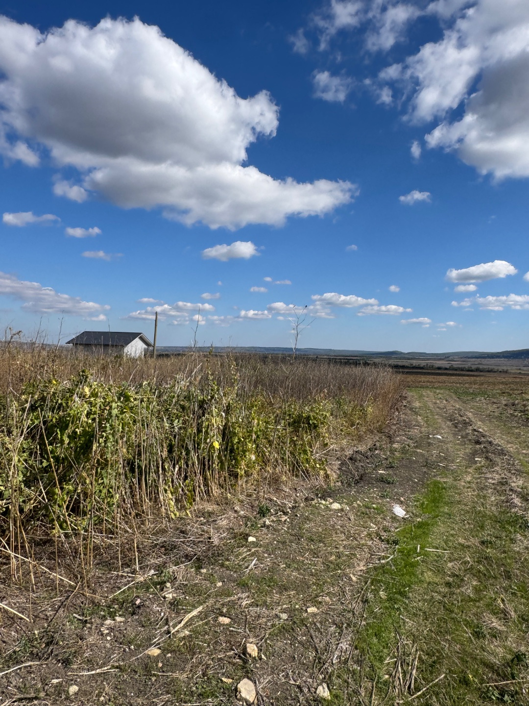 Продам участок в ДНТ Дубрава 4сотки. 
Назначение земли садоводство и огородничество. 

В продаже два участка, по 4сотки каждый, расположены рядом. Адрес, ДНТ Дубрава Жемчужная 28 и 28а. 
Кадастровые номера 23:37:0802001:236, 23:37:0802001:237
Можно купить как по отдельности, так и оба сразу. 
Участк